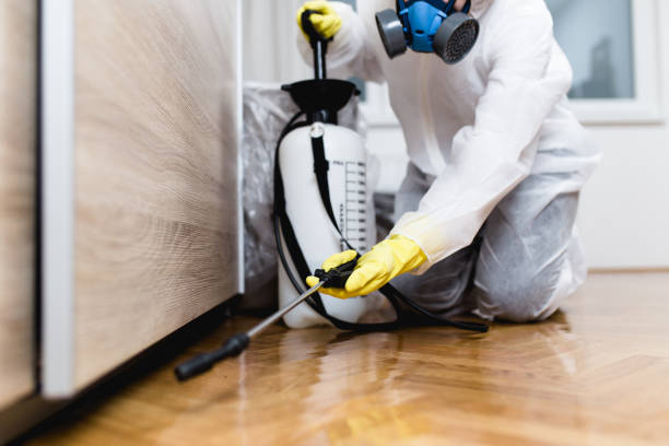 Best Affordable Pest Control Services  in Sparrow Bush, NY