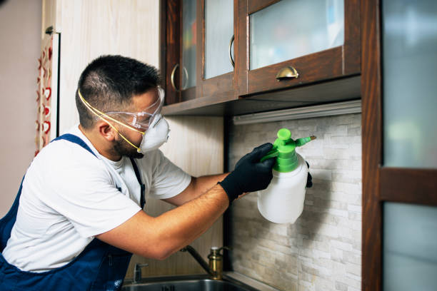 Professional Pest Control in Sparrow Bush, NY