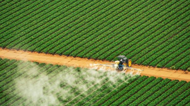 Best Commercial Pest Control Services  in Sparrow Bush, NY