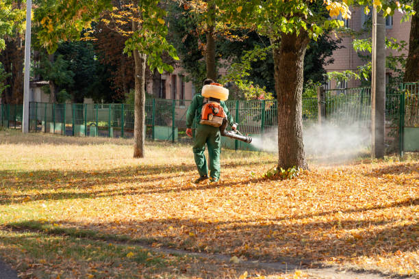 Best Insect Control  in Sparrow Bush, NY