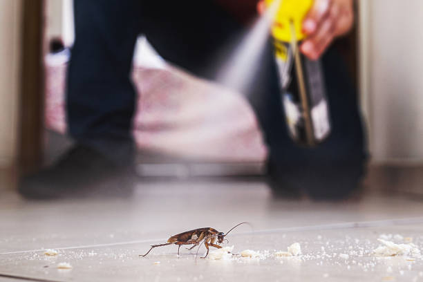 Best Flea Control Services  in Sparrow Bush, NY