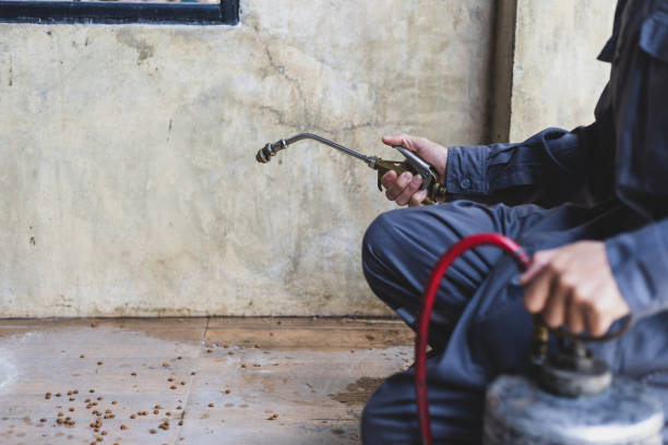 Best Termite Control Services  in Sparrow Bush, NY